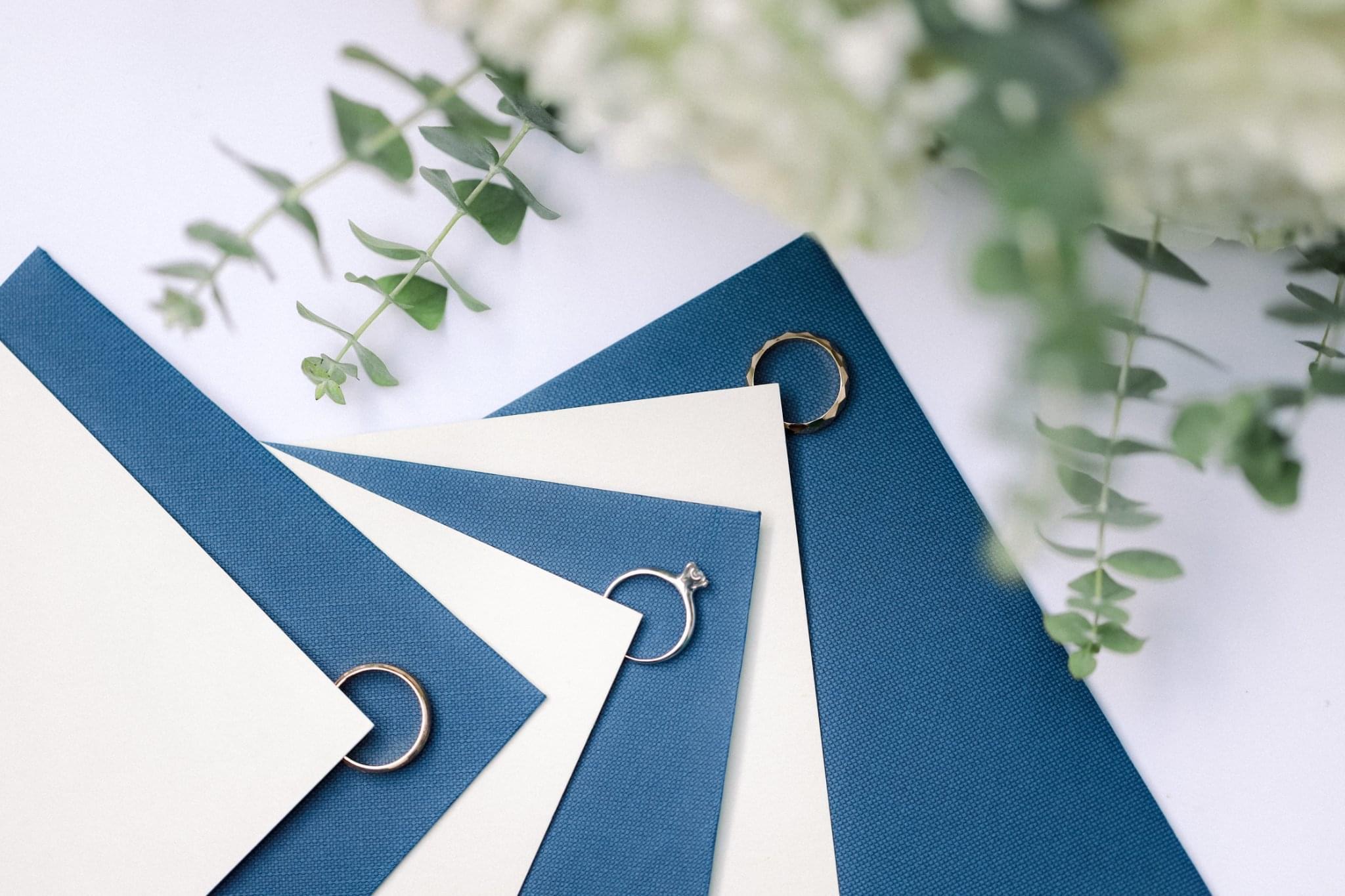 Dusty Blue · Soft Hues — photograph 10